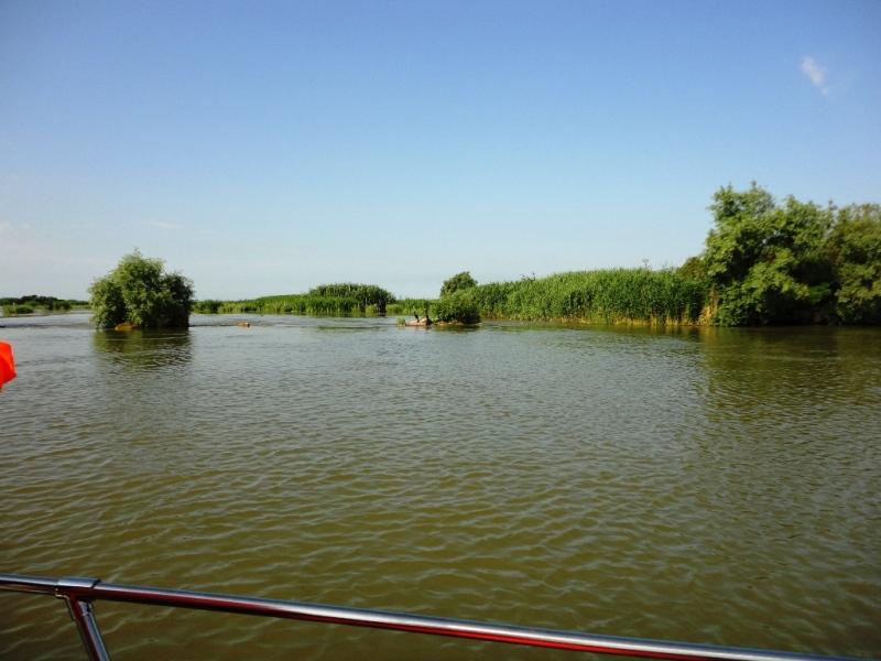 sulina iunie 2013 - dsc09957.JPG